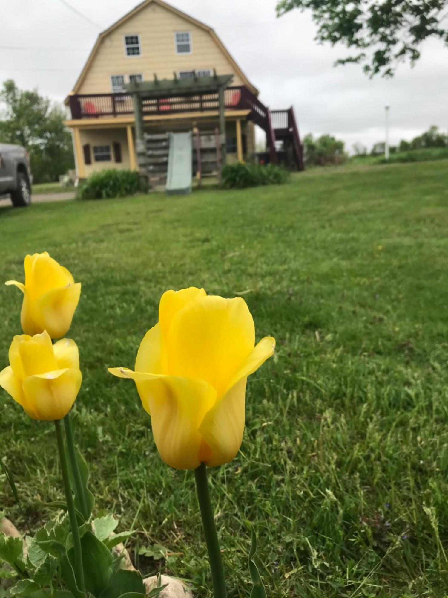 A Country Home Inn The City Charlottetown Esterno foto